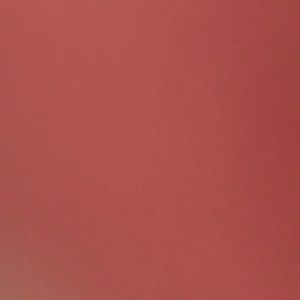 Meet your Posher, Ivy